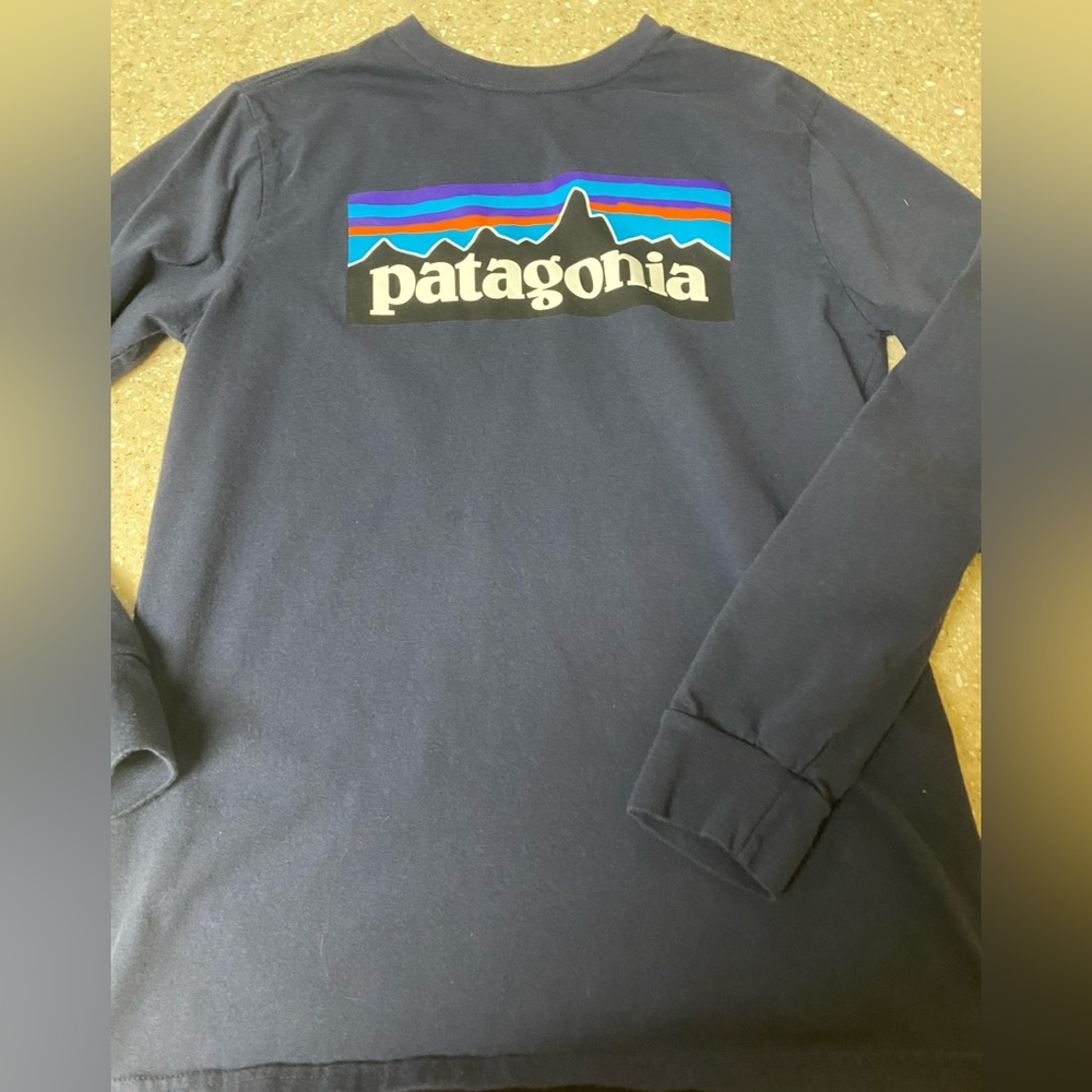 Patagonia Blue Graphic Long Sleeve